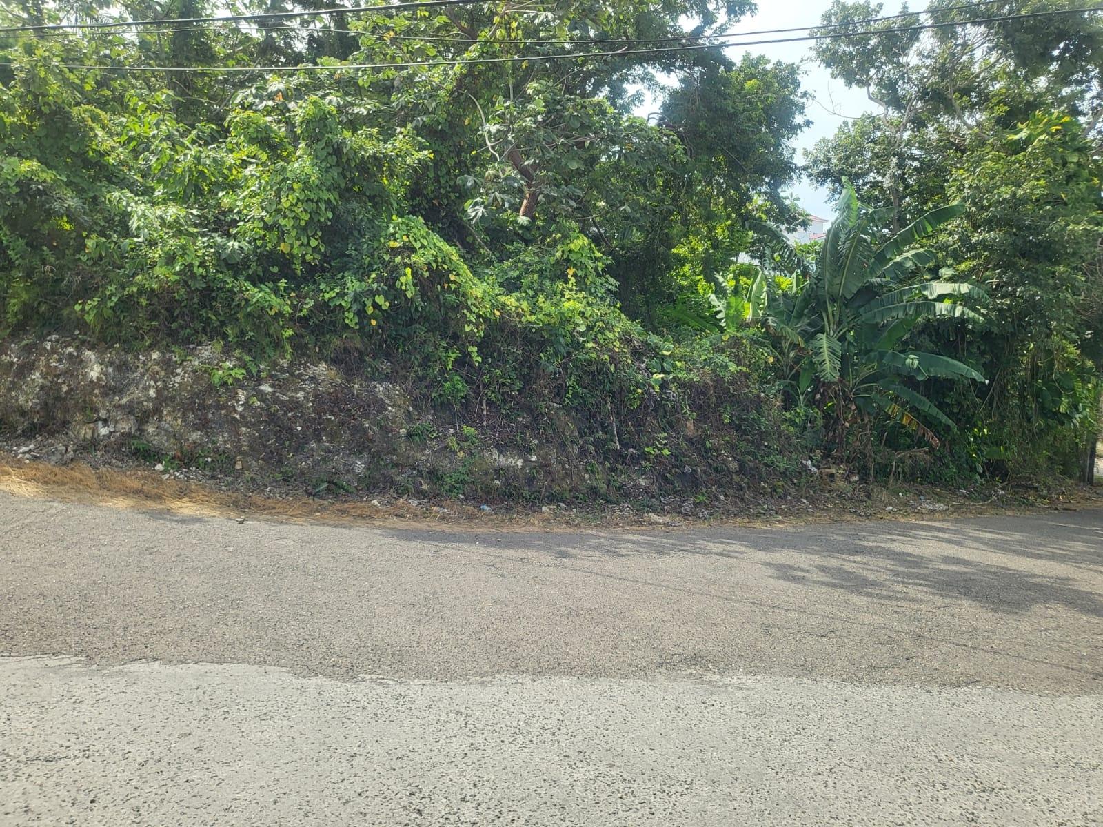 Fourth image of 193 Torado Heights, St. James in Little River, St. James, Jamaica - property is For Sale