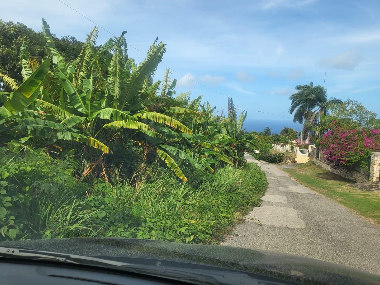 Seventh image of 193 Torado Heights, St. James in Little River, St. James, Jamaica - property is For Sale