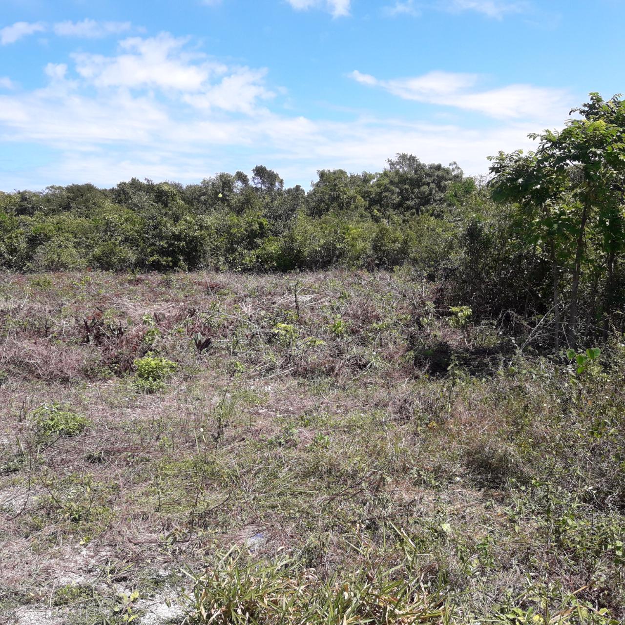 Third image of Lot-19 Dairy, Discovery Bay in Discovery Bay, St. Ann, Jamaica - property is For Sale