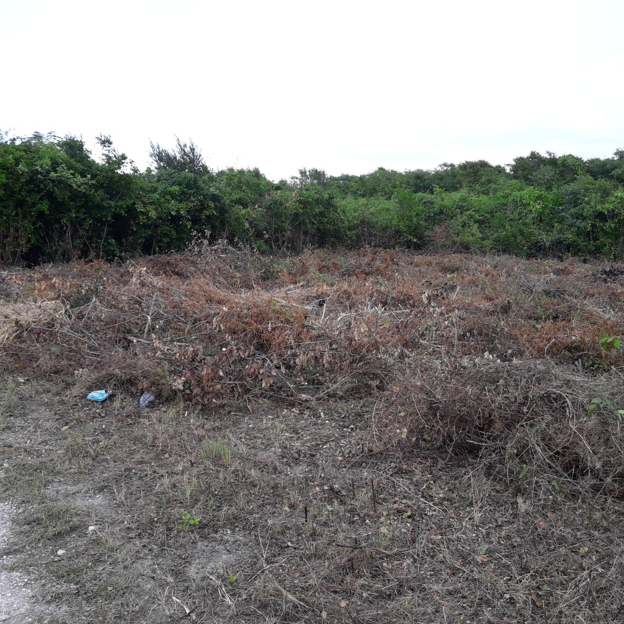 Fourth image of Lot-19 Dairy, Discovery Bay in Discovery Bay, St. Ann, Jamaica - property is For Sale