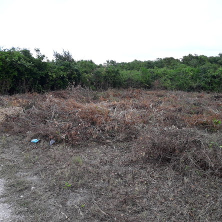 Fourth image of Lot-19 Dairy, Discovery Bay in Discovery Bay, St. Ann, Jamaica - property is For Sale
