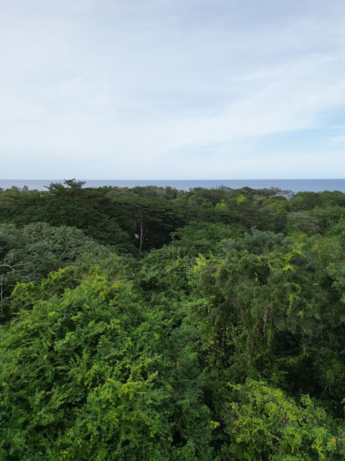 Second image of Lot 22c- Part of Industry Cove in Green Island, Hanover, Jamaica - property is For Sale