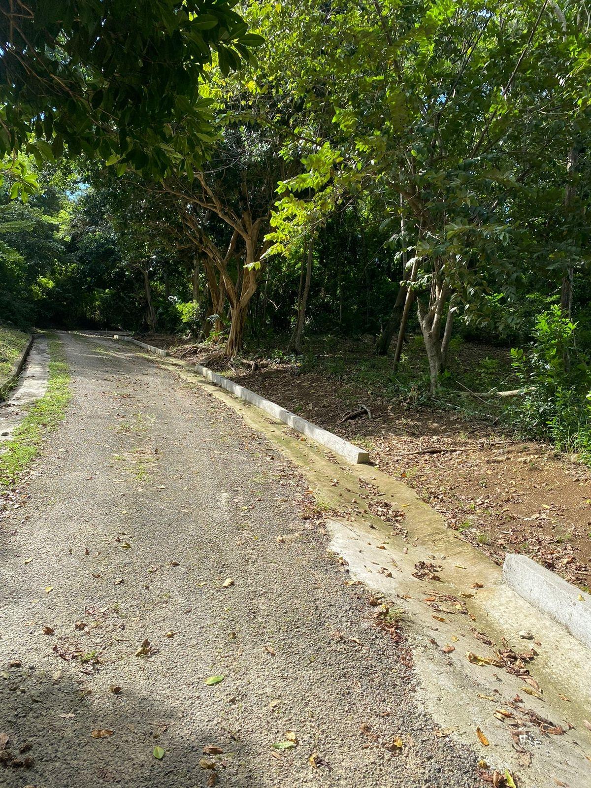 Eleventh image of Lot 22c- Part of Industry Cove in Green Island, Hanover, Jamaica - property is For Sale