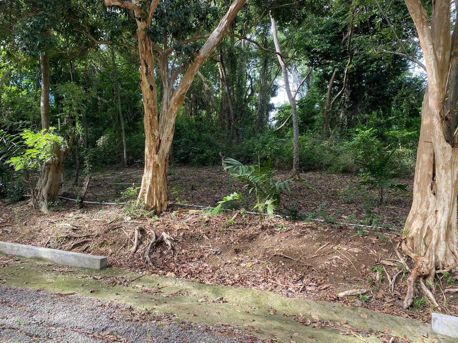 Thirteenth image of Lot 22c- Part of Industry Cove in Green Island, Hanover, Jamaica - property is For Sale