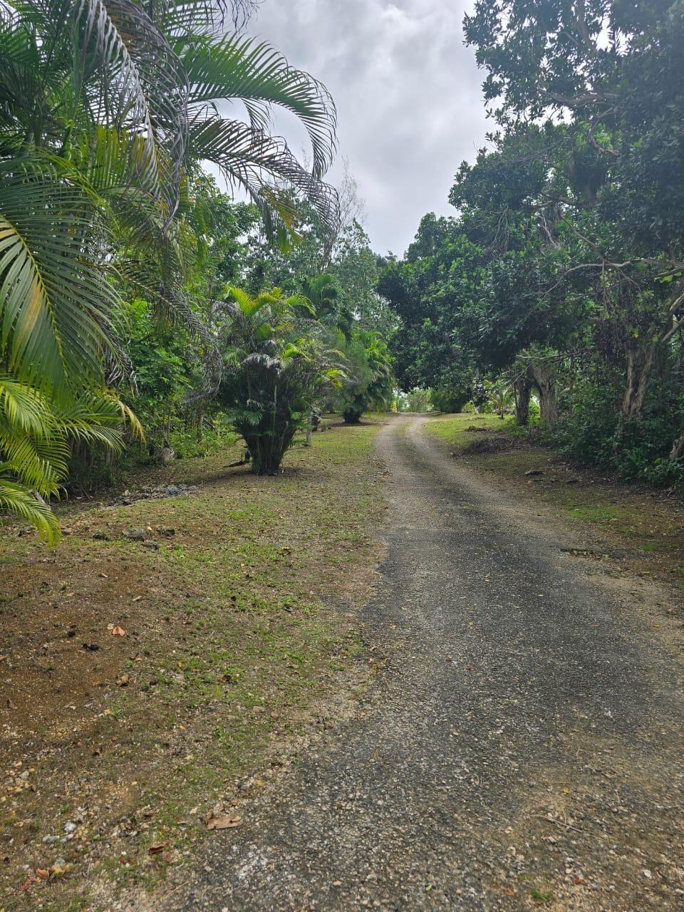 Fourteenth image of Lot 22c- Part of Industry Cove in Green Island, Hanover, Jamaica - property is For Sale