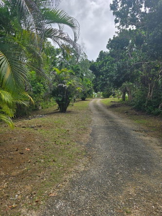 Fourteenth image of Lot 22c- Part of Industry Cove in Green Island, Hanover, Jamaica - property is For Sale