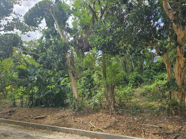 Fifteenth image of Lot 22c- Part of Industry Cove in Green Island, Hanover, Jamaica - property is For Sale