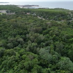 First image of Lot 22c- Part of Industry Cove in Green Island, Hanover, Jamaica - property is For Sale