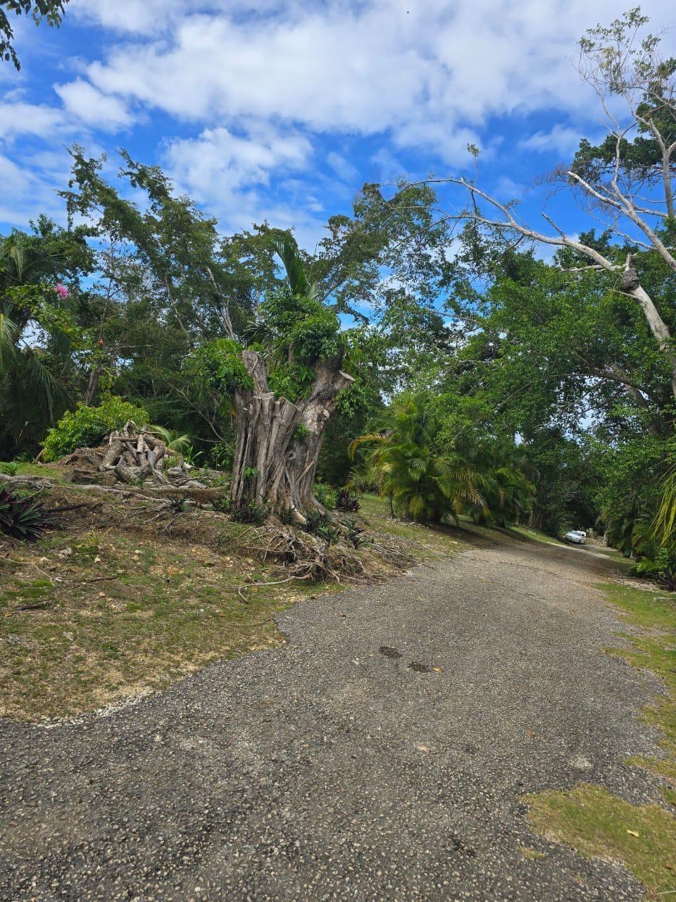 Seventeenth image of Lot 22c- Part of Industry Cove in Green Island, Hanover, Jamaica - property is For Sale