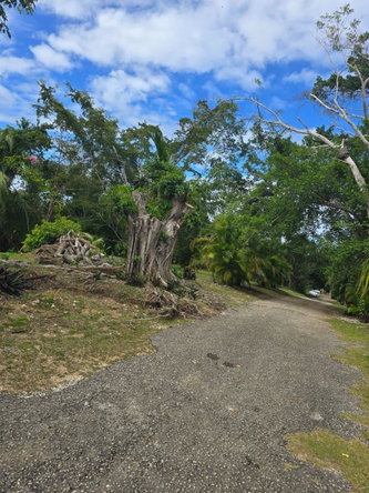 Seventeenth image of Lot 22c- Part of Industry Cove in Green Island, Hanover, Jamaica - property is For Sale