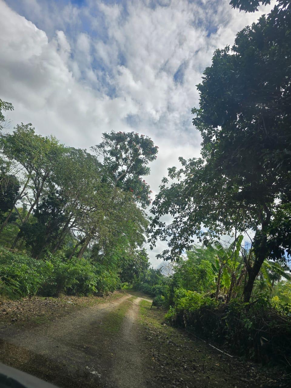 Eighteenth image of Lot 22c- Part of Industry Cove in Green Island, Hanover, Jamaica - property is For Sale