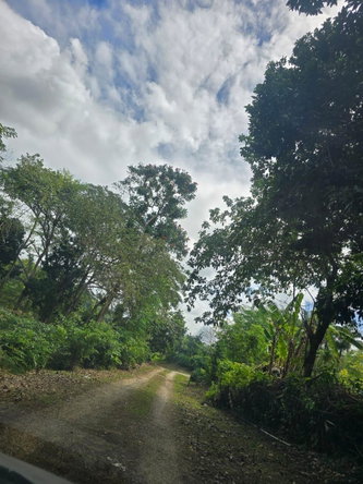 Eighteenth image of Lot 22c- Part of Industry Cove in Green Island, Hanover, Jamaica - property is For Sale