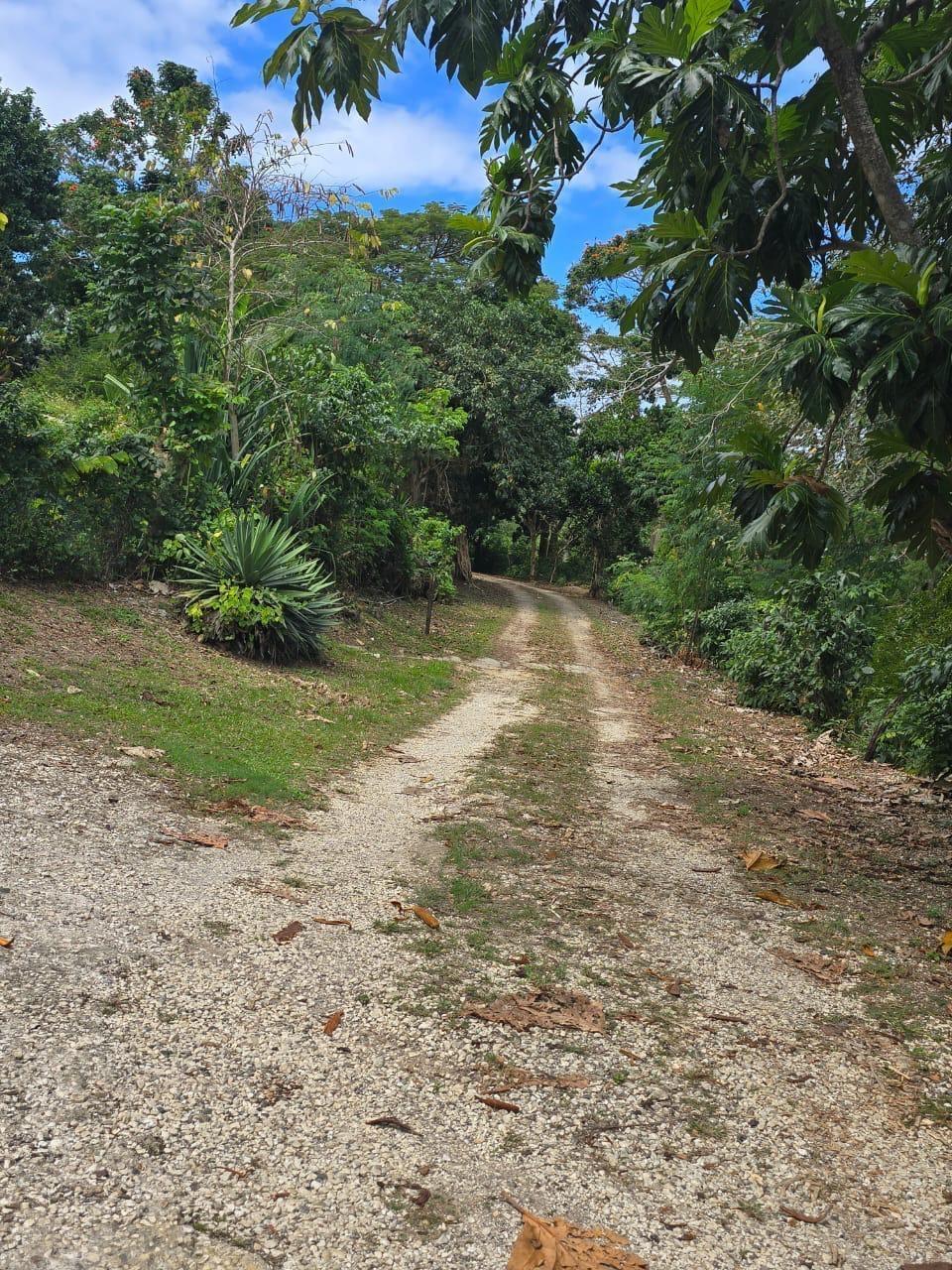Twentieth image of Lot 22c- Part of Industry Cove in Green Island, Hanover, Jamaica - property is For Sale