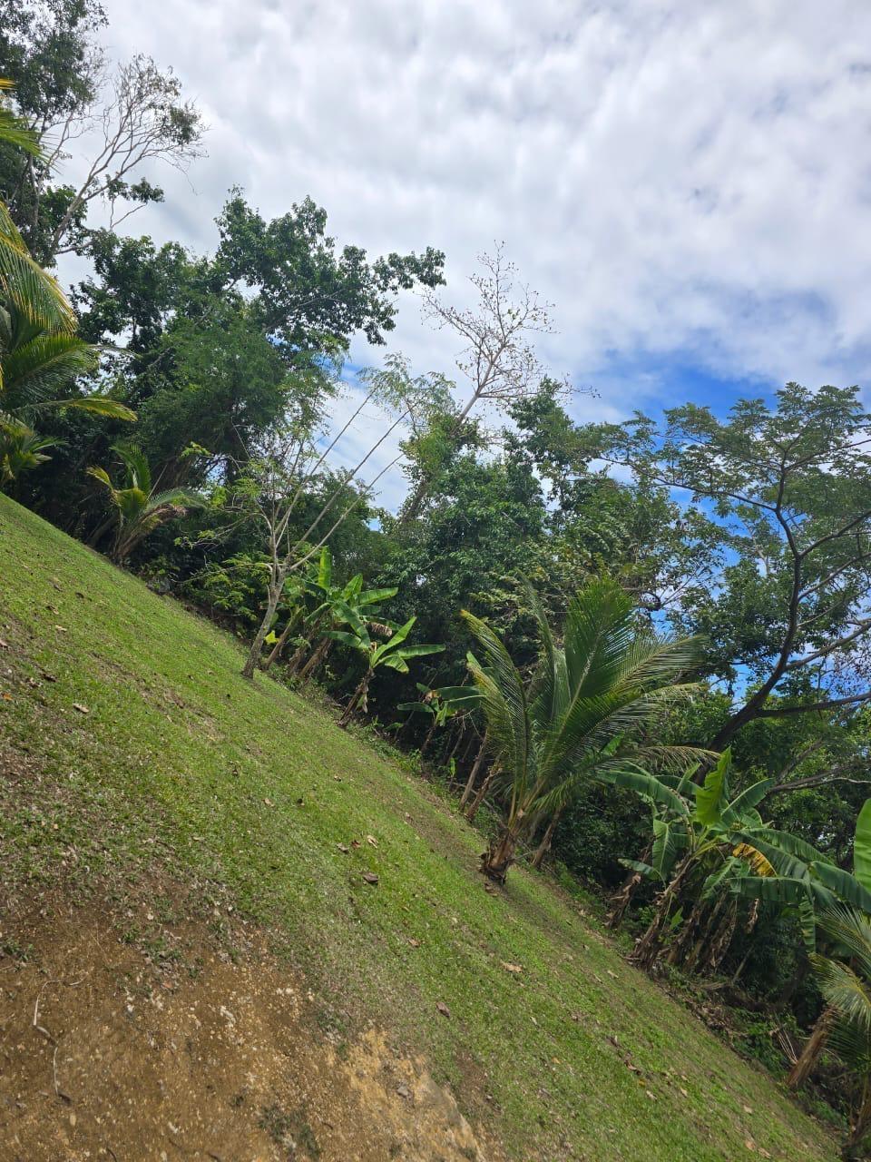 Third image of Lot 22c- Part of Industry Cove in Green Island, Hanover, Jamaica - property is For Sale
