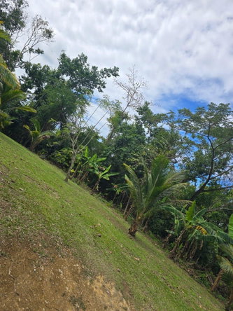 Third image of Lot 22c- Part of Industry Cove in Green Island, Hanover, Jamaica - property is For Sale