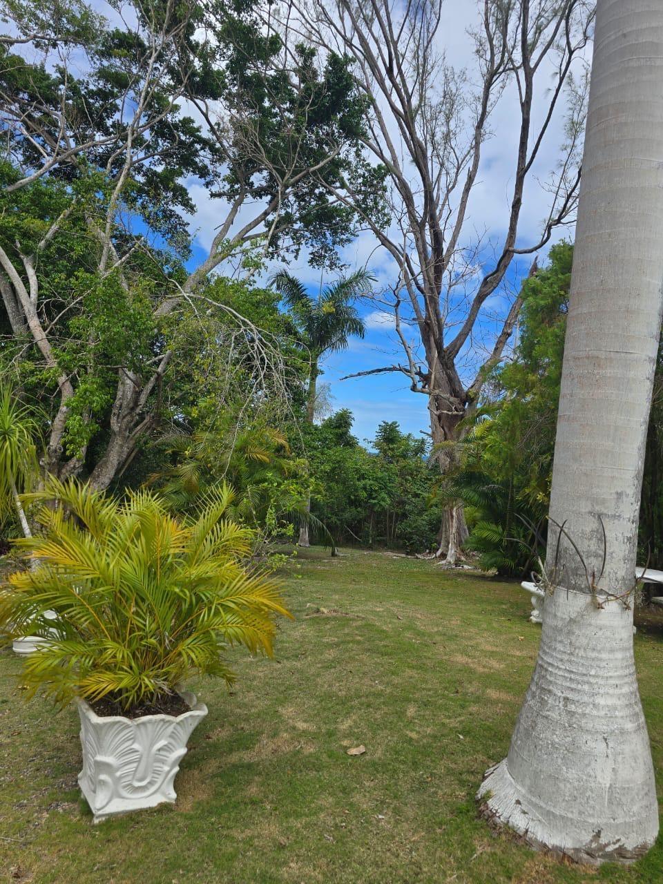 Fourth image of Lot 22c- Part of Industry Cove in Green Island, Hanover, Jamaica - property is For Sale