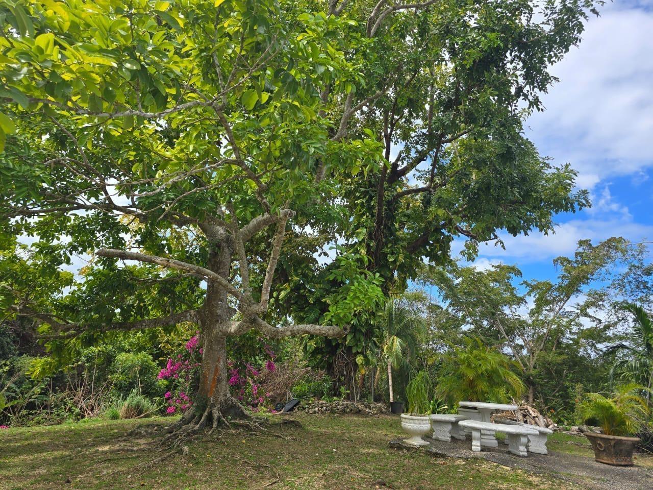 Sixth image of Lot 22c- Part of Industry Cove in Green Island, Hanover, Jamaica - property is For Sale