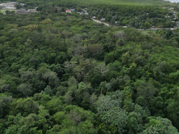 First image of Lot 22c- Part of Industry Cove in Green Island, Hanover, Jamaica - property is For Sale