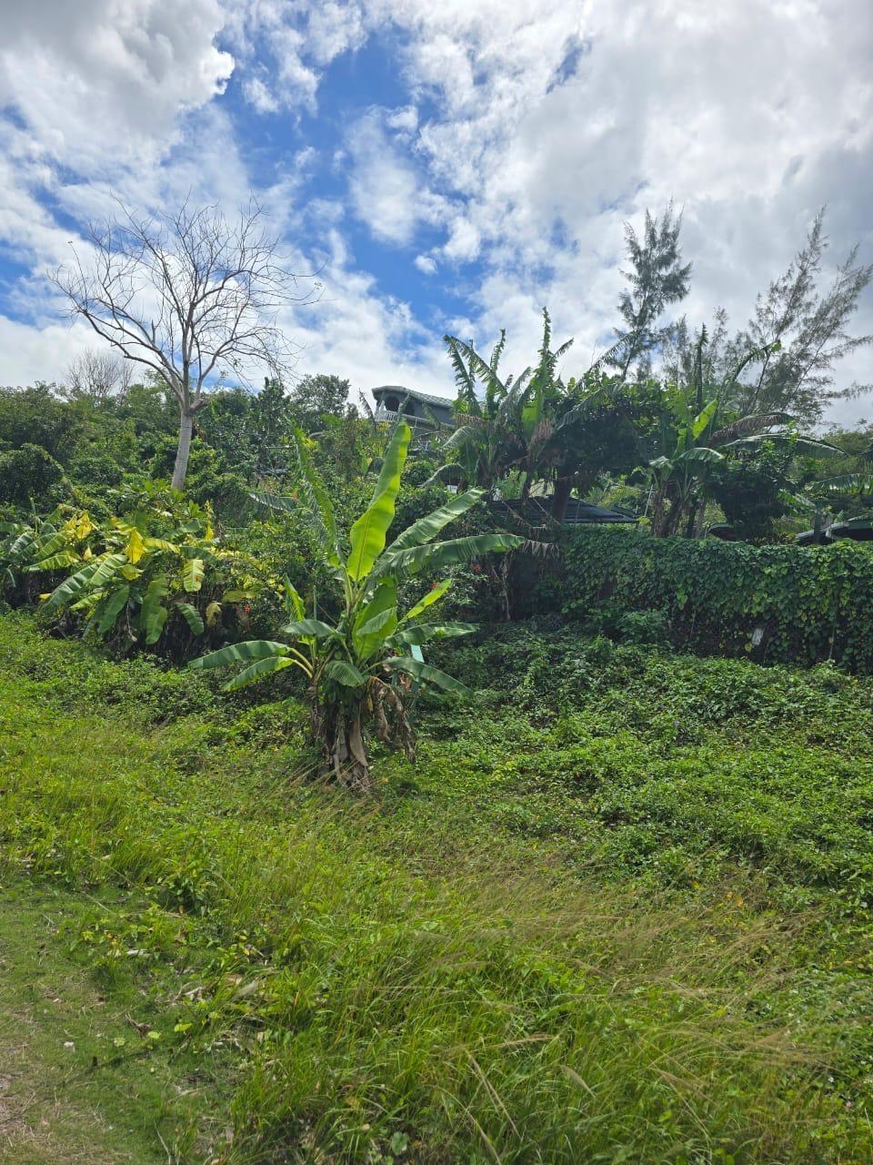 Seventh image of Lot 22c- Part of Industry Cove in Green Island, Hanover, Jamaica - property is For Sale