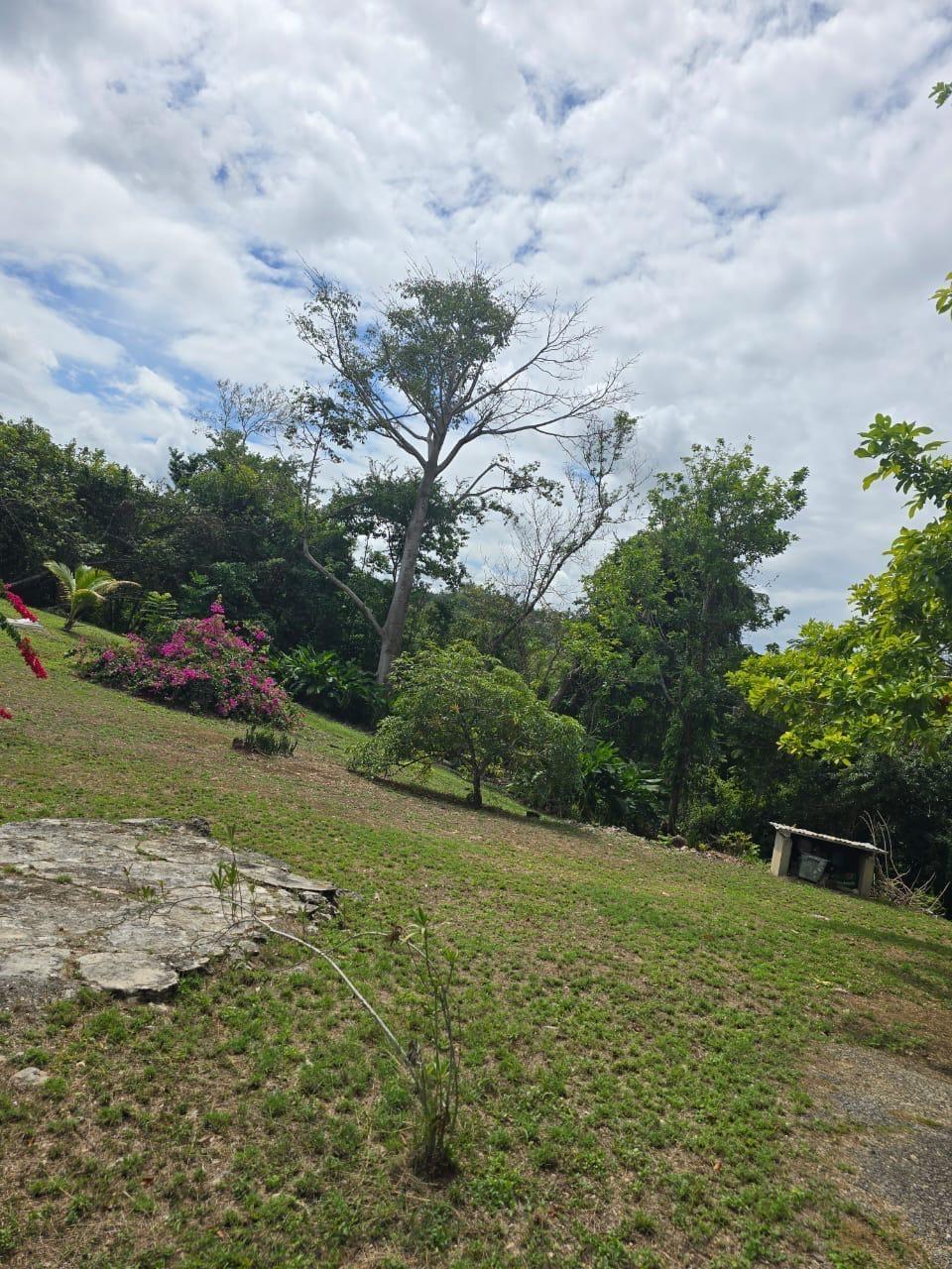 Eighth image of Lot 22c- Part of Industry Cove in Green Island, Hanover, Jamaica - property is For Sale