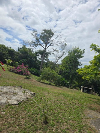 Eighth image of Lot 22c- Part of Industry Cove in Green Island, Hanover, Jamaica - property is For Sale