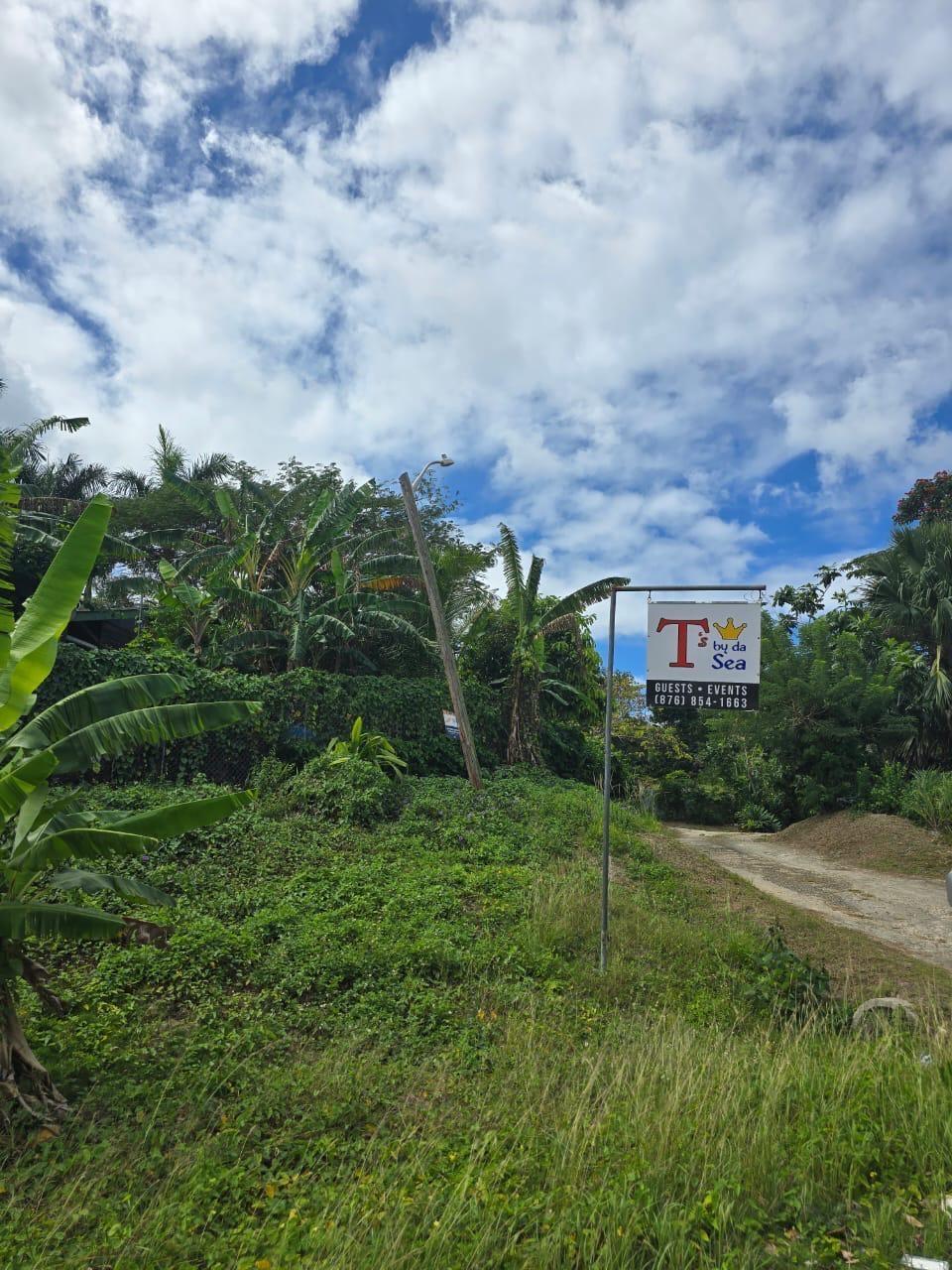Tenth image of Lot 22c- Part of Industry Cove in Green Island, Hanover, Jamaica - property is For Sale