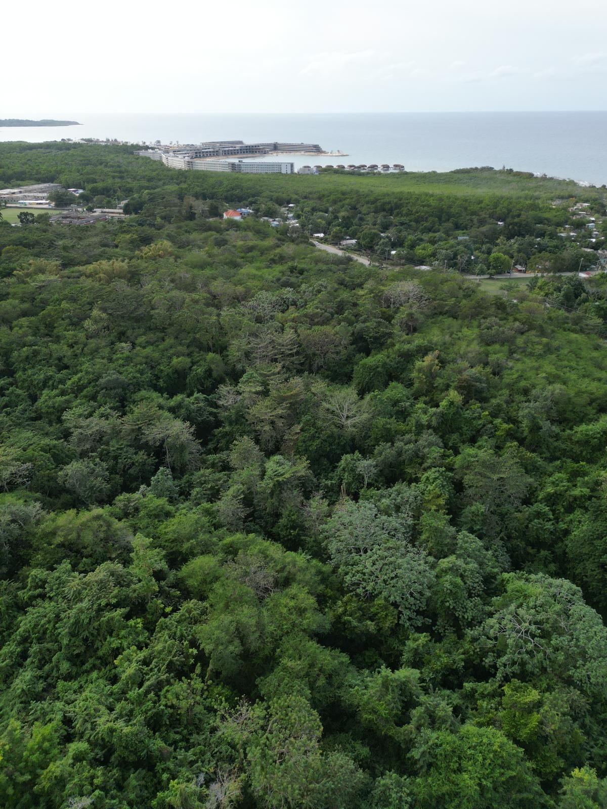 First image of Lot 22c- Part of Industry Cove in Green Island, Hanover, Jamaica - property is For Sale