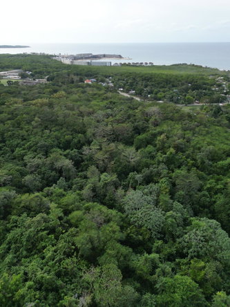 First image of Lot 22c- Part of Industry Cove in Green Island, Hanover, Jamaica - property is For Sale