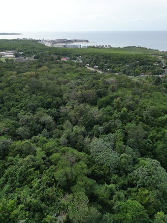 First image of Lot 22c- Part of Industry Cove in Green Island, Hanover, Jamaica - property is For Sale