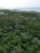 First image of Lot 22c- Part of Industry Cove in Green Island, Hanover, Jamaica - property is For Sale