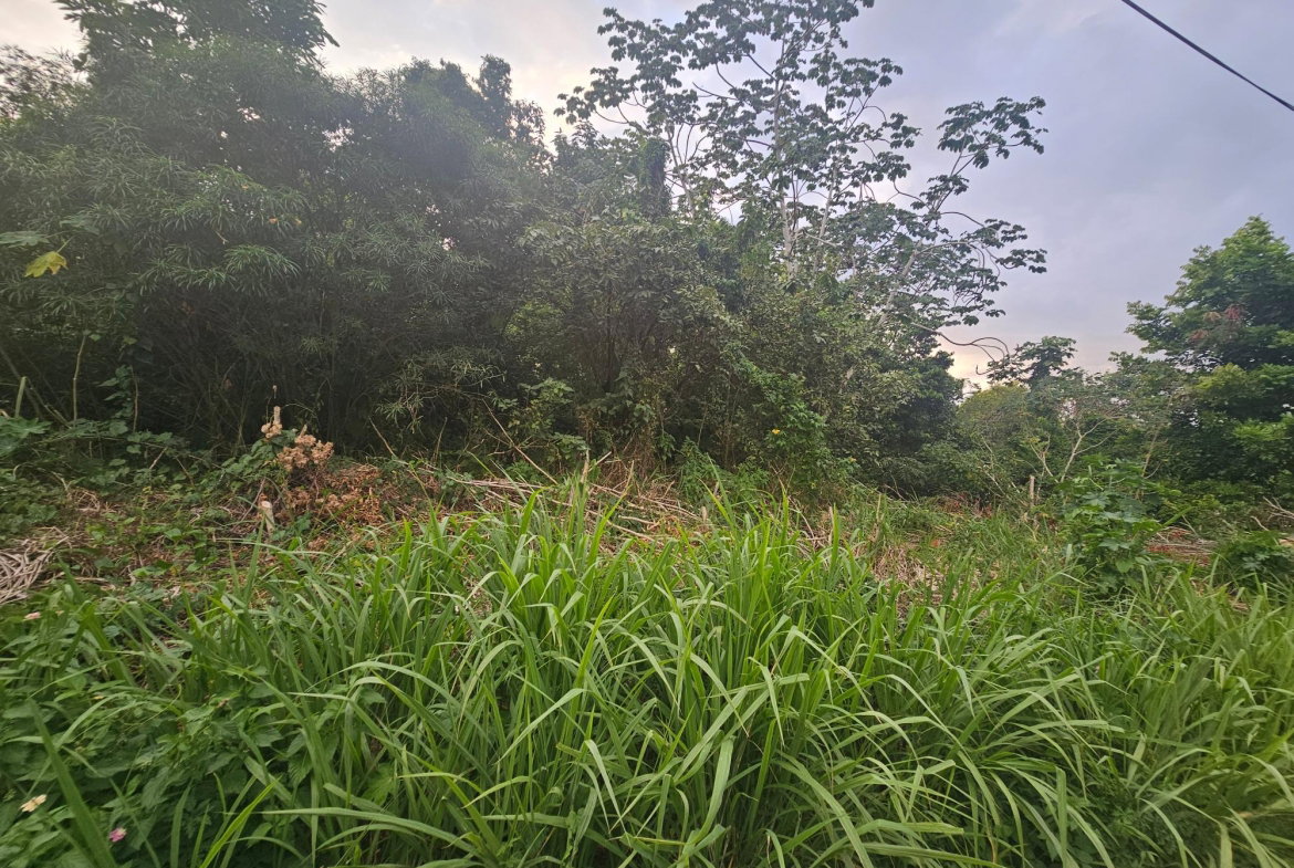 Second image of 422 Ferguson Avenue, Ironshor in Ironshore, St. James, Jamaica - property is For Sale