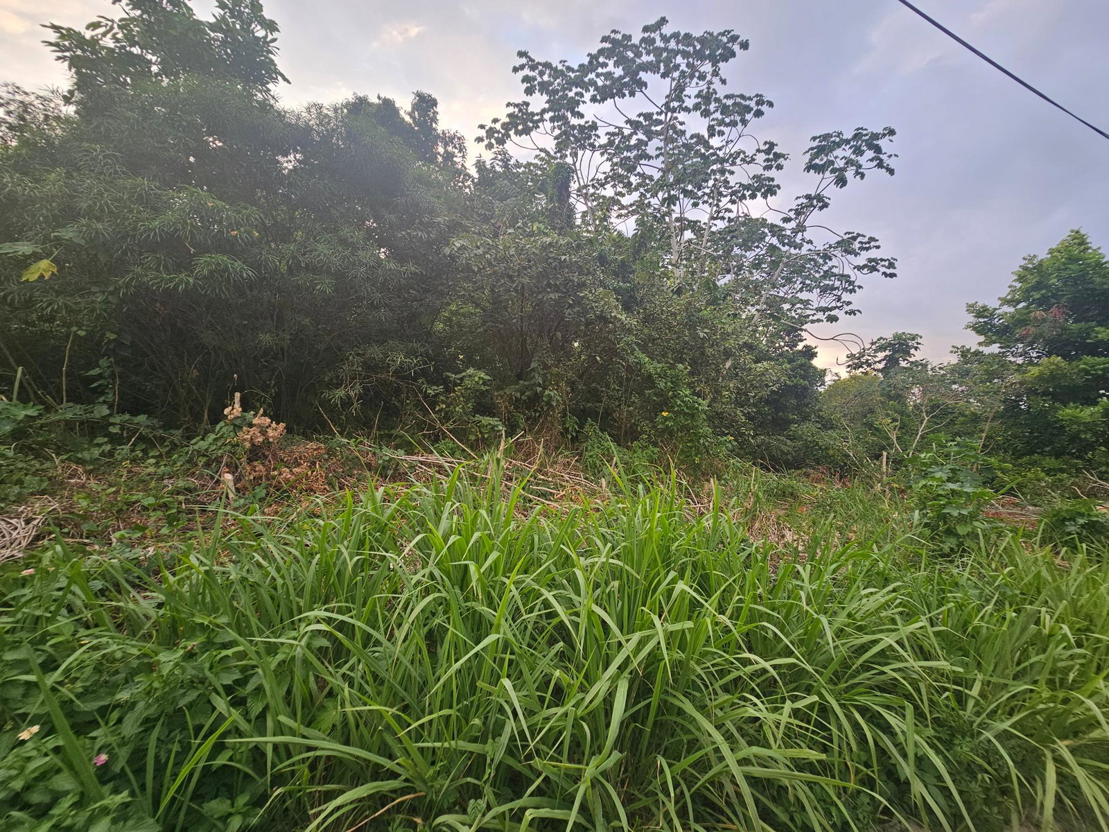 Prime-Residential-Lot-for-Sale-in-Ironshore-St.-James-Build-Your-Dream-Home Second image of 422 Ferguson Avenue, Ironshor in Ironshore, St. James, Jamaica - property is For Sale