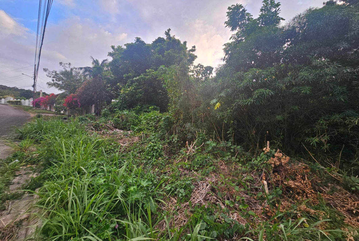 First image of 422 Ferguson Avenue, Ironshor in Ironshore, St. James, Jamaica - property is For Sale