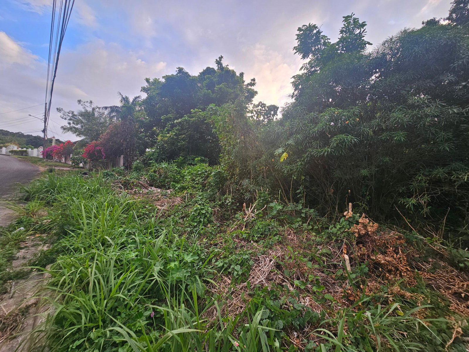 Prime-Residential-Lot-for-Sale-in-Ironshore-St.-James-Build-Your-Dream-Home First image of 422 Ferguson Avenue, Ironshor in Ironshore, St. James, Jamaica - property is For Sale