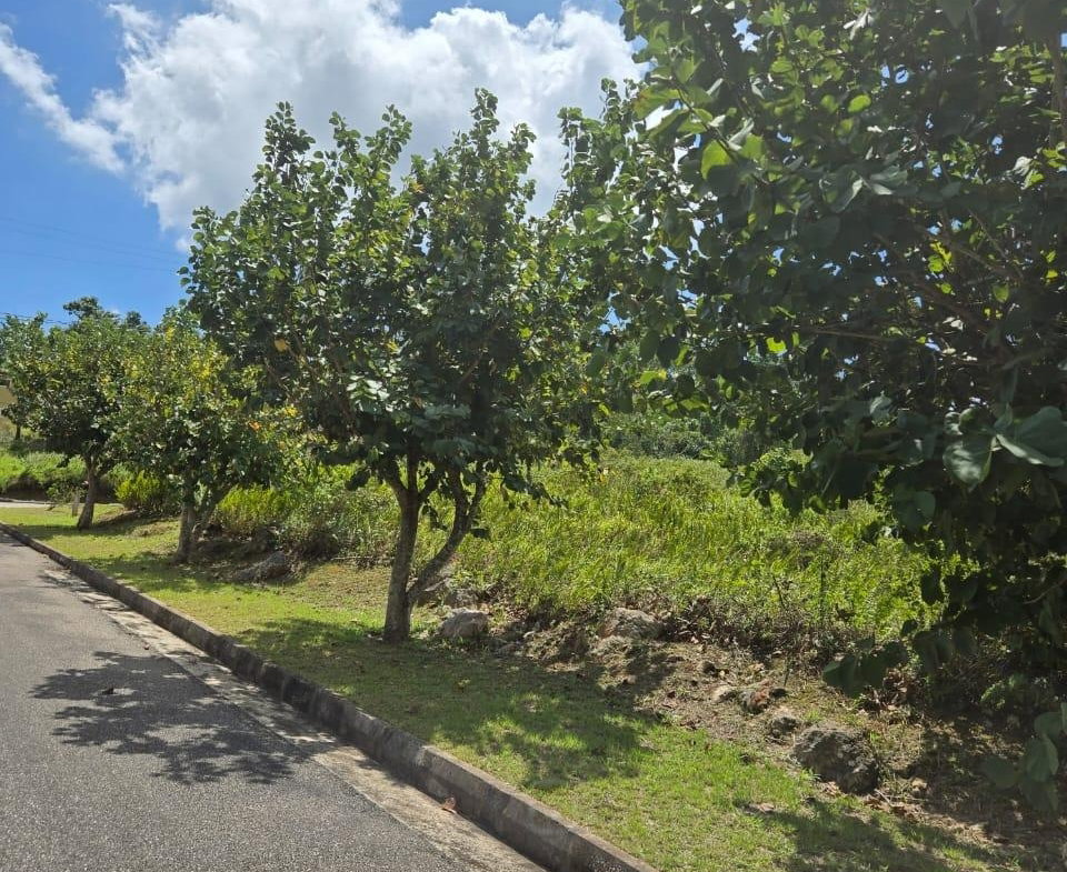 Second image of Lot 125- Fairfield Drive, Moorland in Moorlands Phase1&2, Manchester, Jamaica - property is For Sale