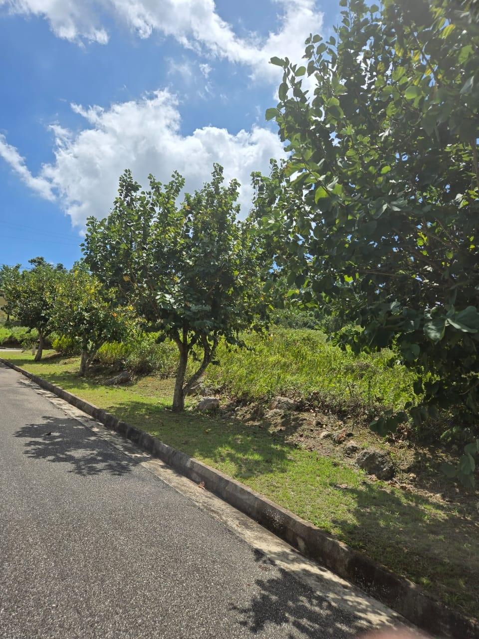 Prime-Residential-Lot-for-Sale-in-Moorlands-Phase-2-Mandeville Second image of Lot 125- Fairfield Drive, Moorland in Moorlands Phase1&2, Manchester, Jamaica - property is For Sale
