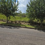 First image of Lot 125- Fairfield Drive, Moorland in Moorlands Phase1&2, Manchester, Jamaica - property is For Sale