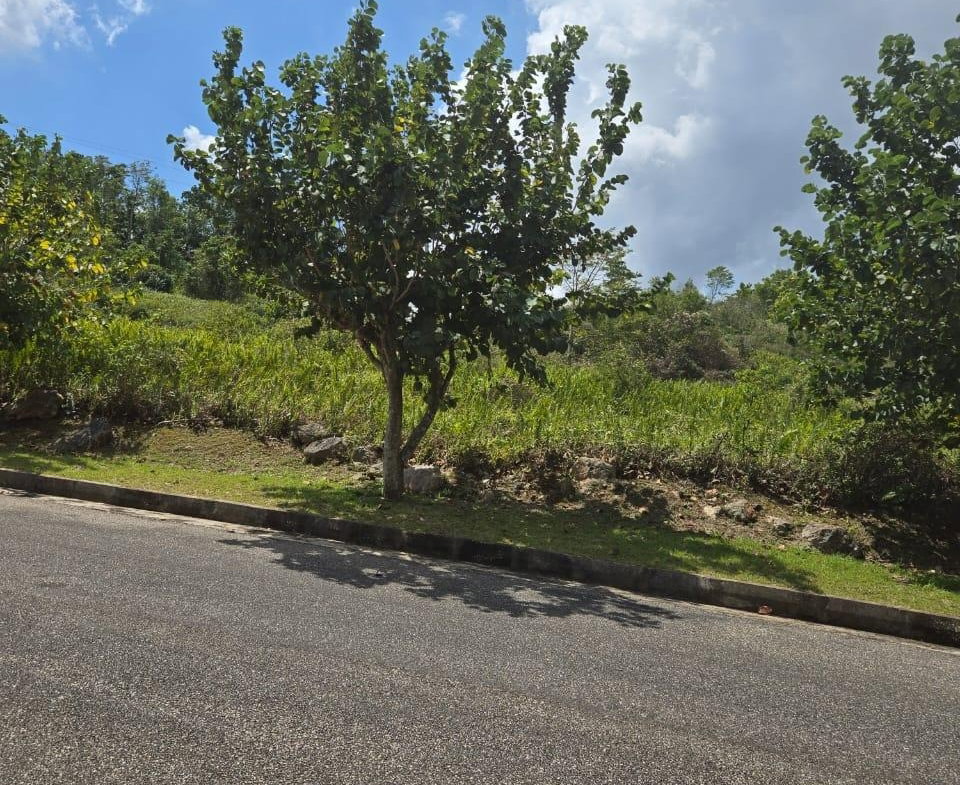 Third image of Lot 125- Fairfield Drive, Moorland in Moorlands Phase1&2, Manchester, Jamaica - property is For Sale