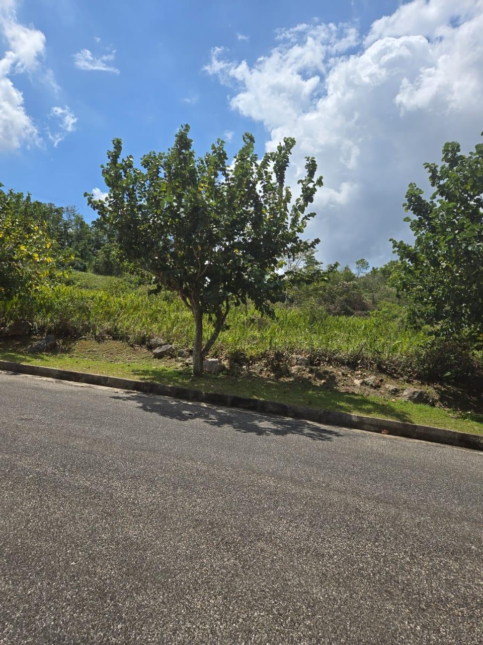 Prime-Residential-Lot-for-Sale-in-Moorlands-Phase-2-Mandeville Third image of Lot 125- Fairfield Drive, Moorland in Moorlands Phase1&2, Manchester, Jamaica - property is For Sale