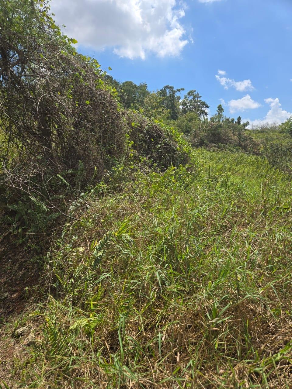 Prime-Residential-Lot-for-Sale-in-Moorlands-Phase-2-Mandeville Fourth image of Lot 125- Fairfield Drive, Moorland in Moorlands Phase1&2, Manchester, Jamaica - property is For Sale
