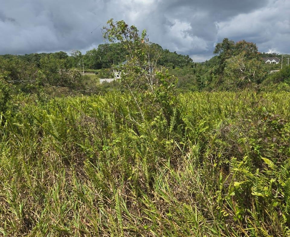 Fifth image of Lot 125- Fairfield Drive, Moorland in Moorlands Phase1&2, Manchester, Jamaica - property is For Sale