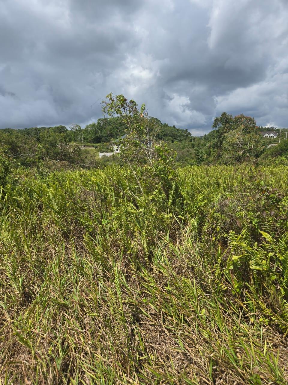 Prime-Residential-Lot-for-Sale-in-Moorlands-Phase-2-Mandeville Fifth image of Lot 125- Fairfield Drive, Moorland in Moorlands Phase1&2, Manchester, Jamaica - property is For Sale