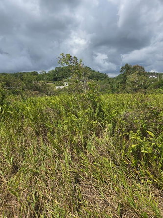 Fifth image of Lot 125- Fairfield Drive, Moorland in Moorlands Phase1&2, Manchester, Jamaica - property is For Sale