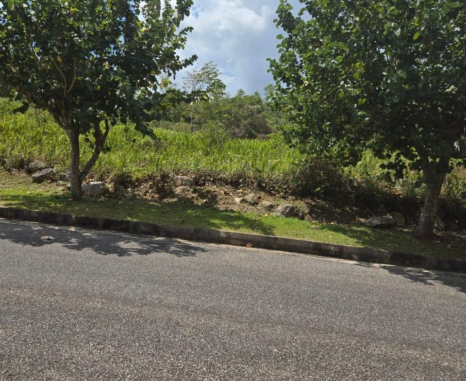 First image of Lot 125- Fairfield Drive, Moorland in Moorlands Phase1&2, Manchester, Jamaica - property is For Sale