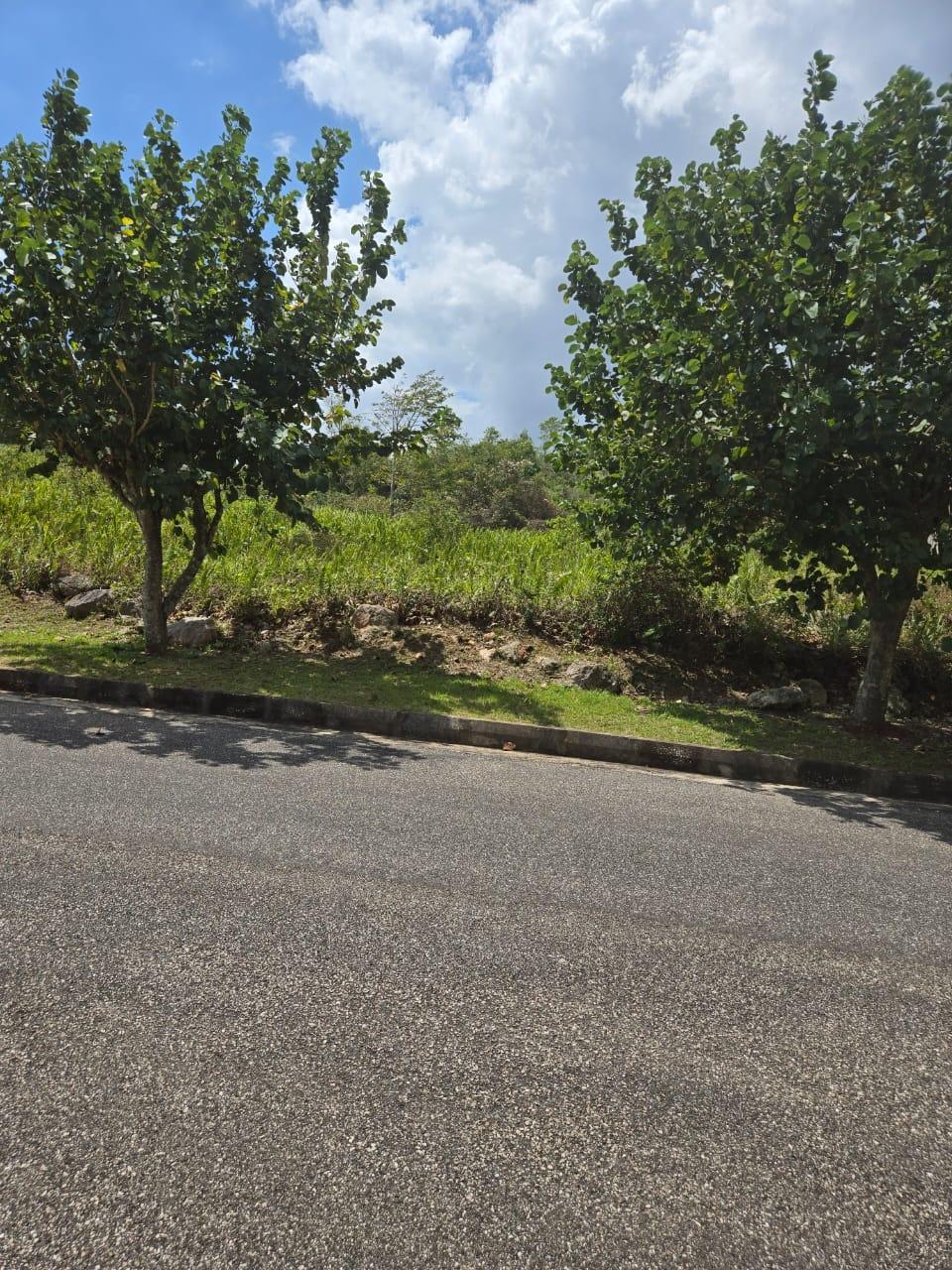 Prime-Residential-Lot-for-Sale-in-Moorlands-Phase-2-Mandeville First image of Lot 125- Fairfield Drive, Moorland in Moorlands Phase1&2, Manchester, Jamaica - property is For Sale