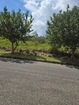 First image of Lot 125- Fairfield Drive, Moorland in Moorlands Phase1&2, Manchester, Jamaica - property is For Sale