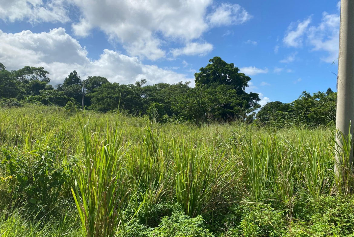 Fourth image of 27a White River Pines Ocho r in Ocho Rios, St. Ann, Jamaica - property is For Sale