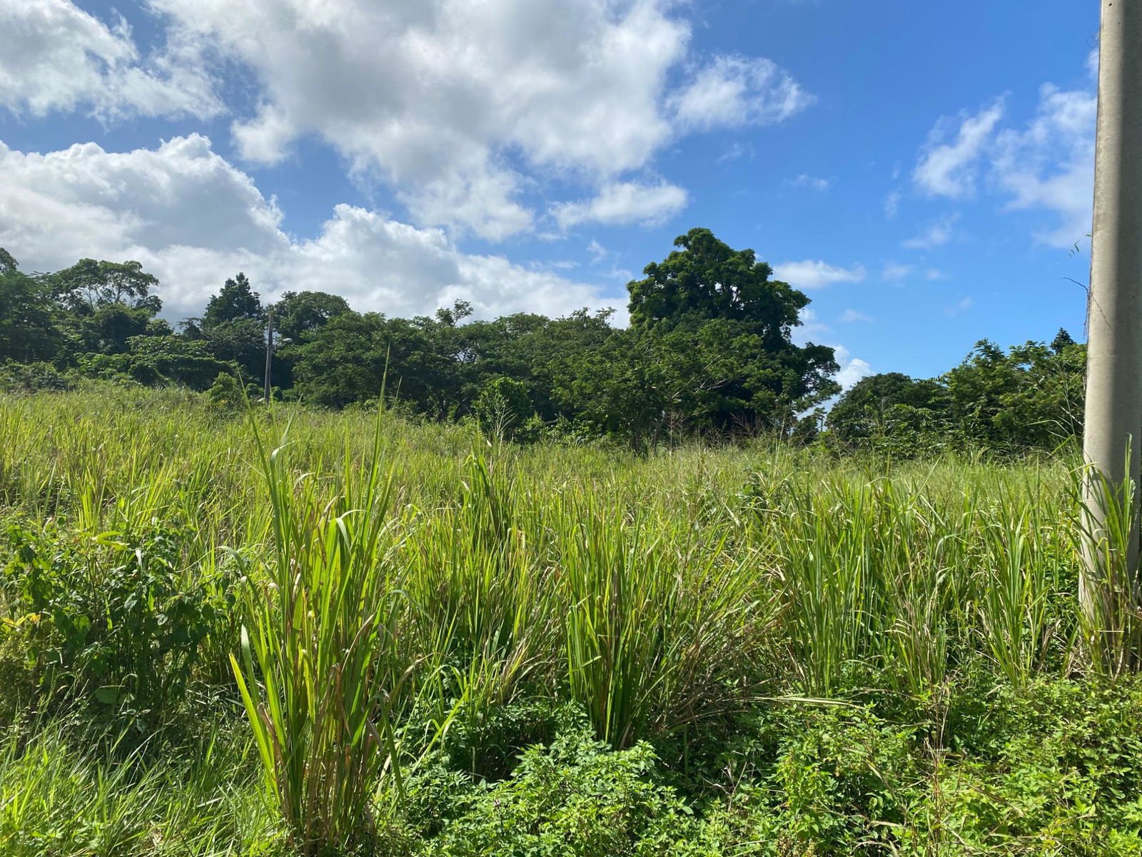 Fourth image of 27a White River Pines Ocho r in Ocho Rios, St. Ann, Jamaica - property is For Sale