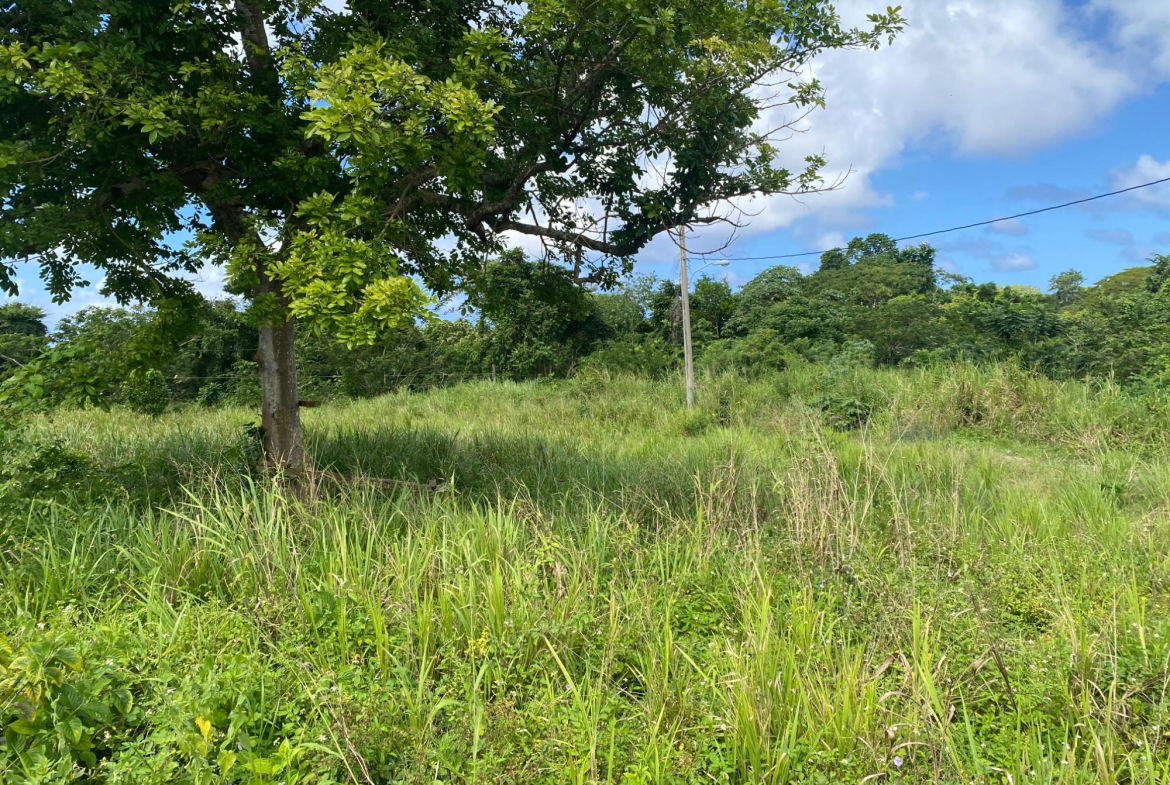 Fifth image of 27a White River Pines Ocho r in Ocho Rios, St. Ann, Jamaica - property is For Sale