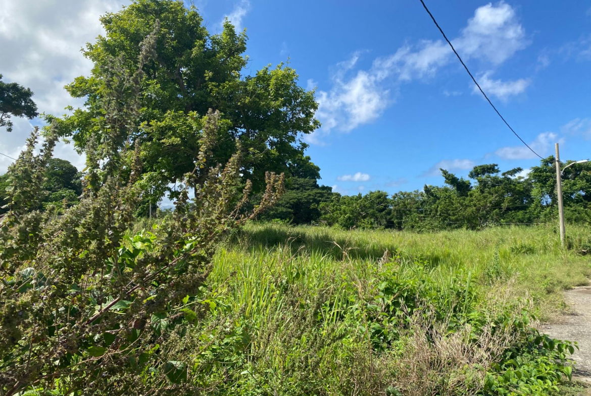 Sixth image of 27a White River Pines Ocho r in Ocho Rios, St. Ann, Jamaica - property is For Sale